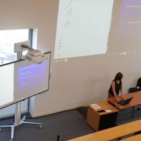 université-de-lille