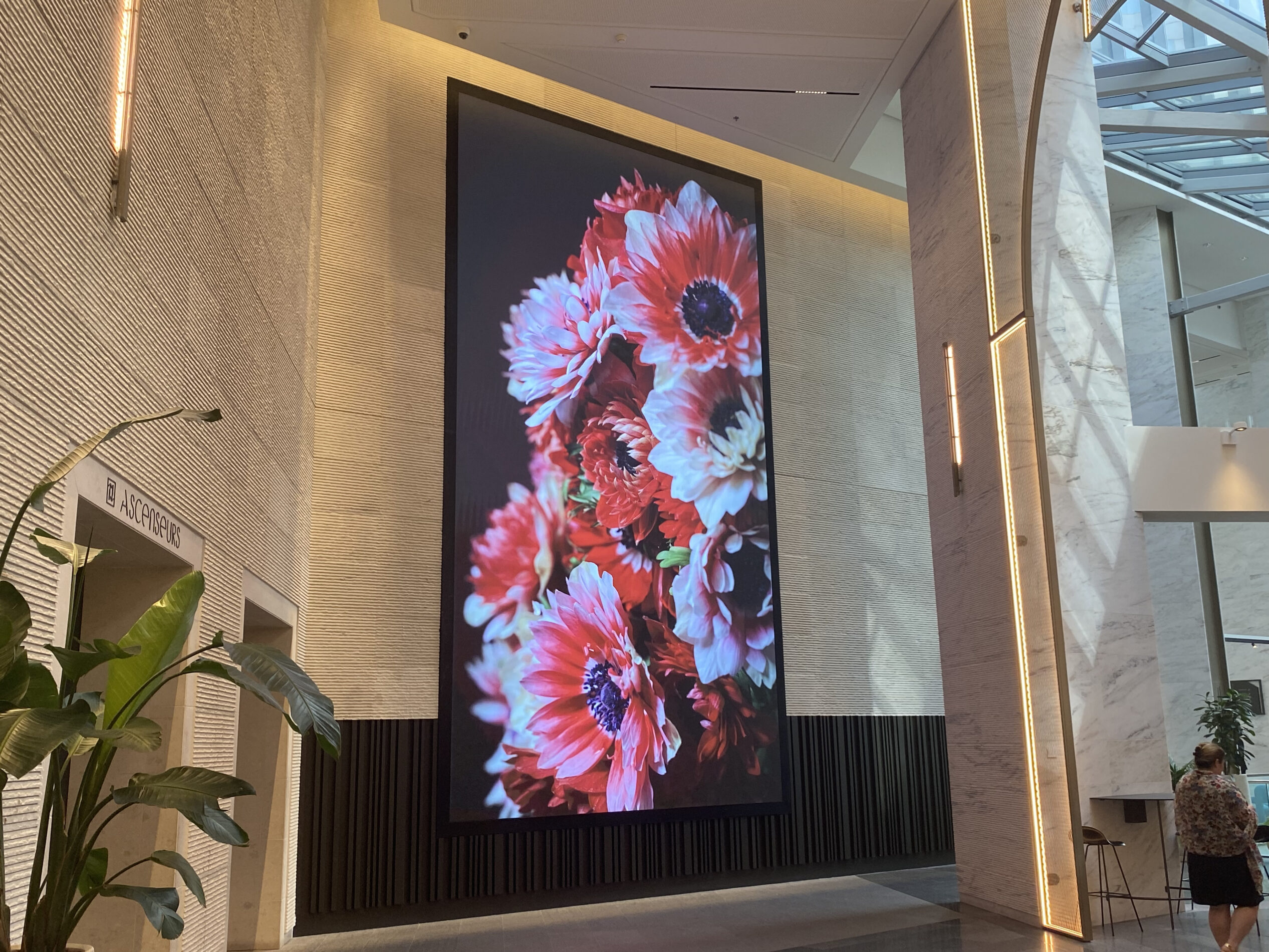 Artpoint-Tour First-Jamie Scott-art digital-écran-diffusion