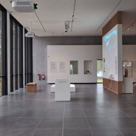Musee De Tahiti 5 450×450