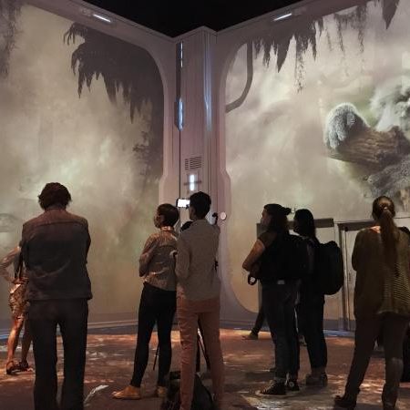 Nausicaa Projection Immersive Videlio 1 450×450