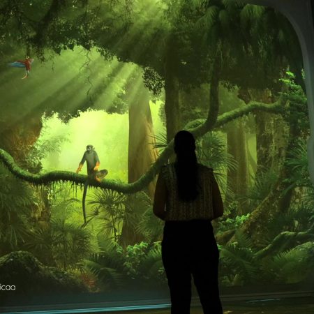 Nausicaa Projection Immersive Videlio 2 450×450