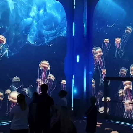 Nausicaa Projection Immersive Videlio 3 450×450