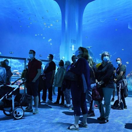 Nausicaa Projection Immersive Videlio 5 450×450