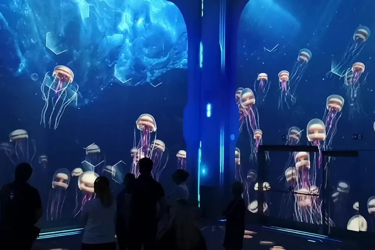Nausicaa Projection Immersive