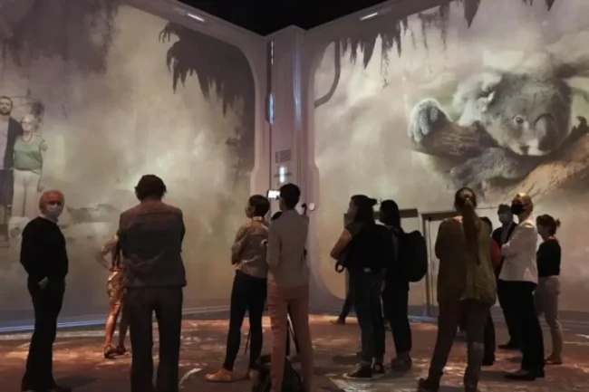 Nausicaa Projection Immersive Vi (2)