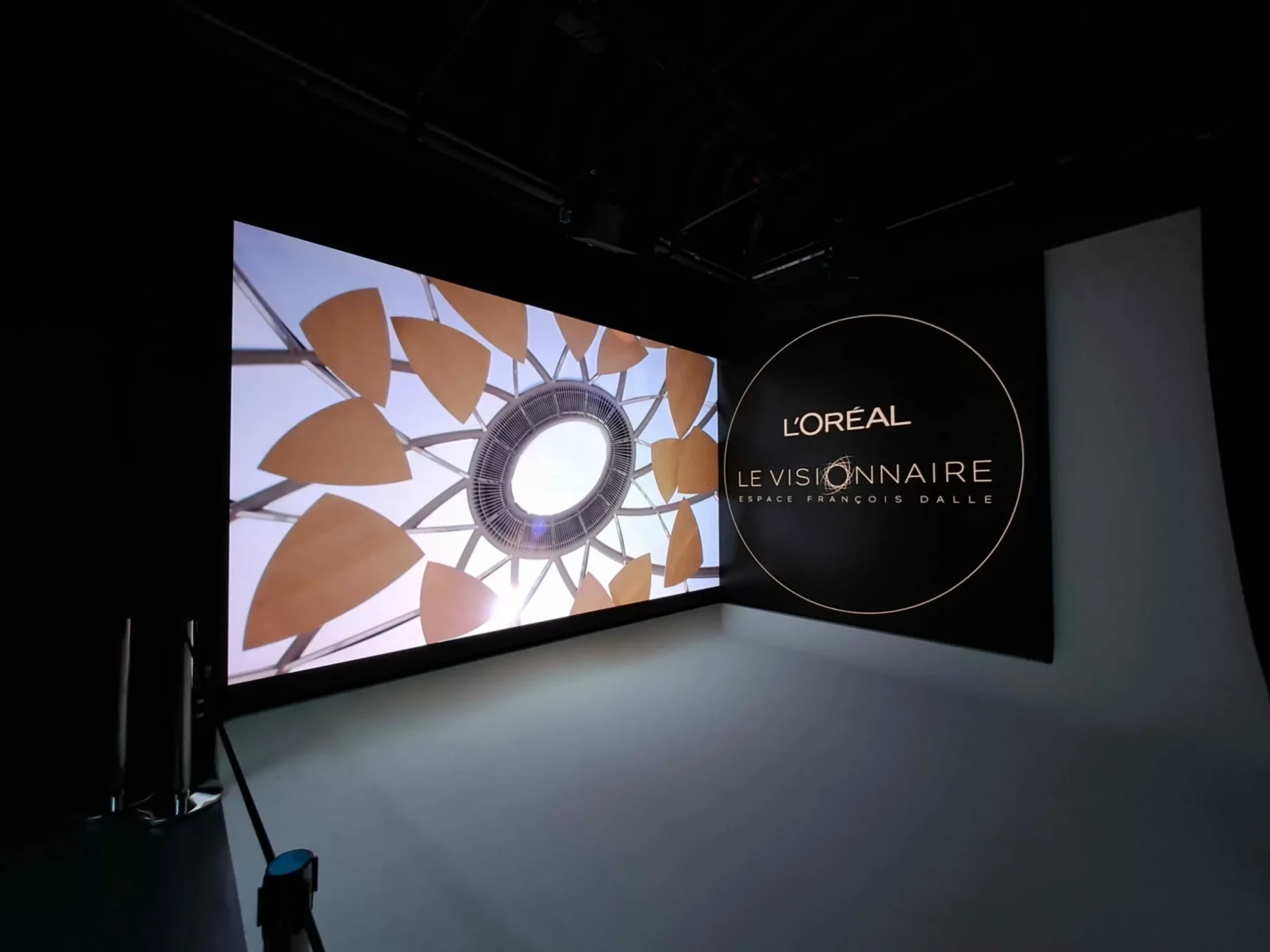 LOreal Le Visionnaire Mur Dimage