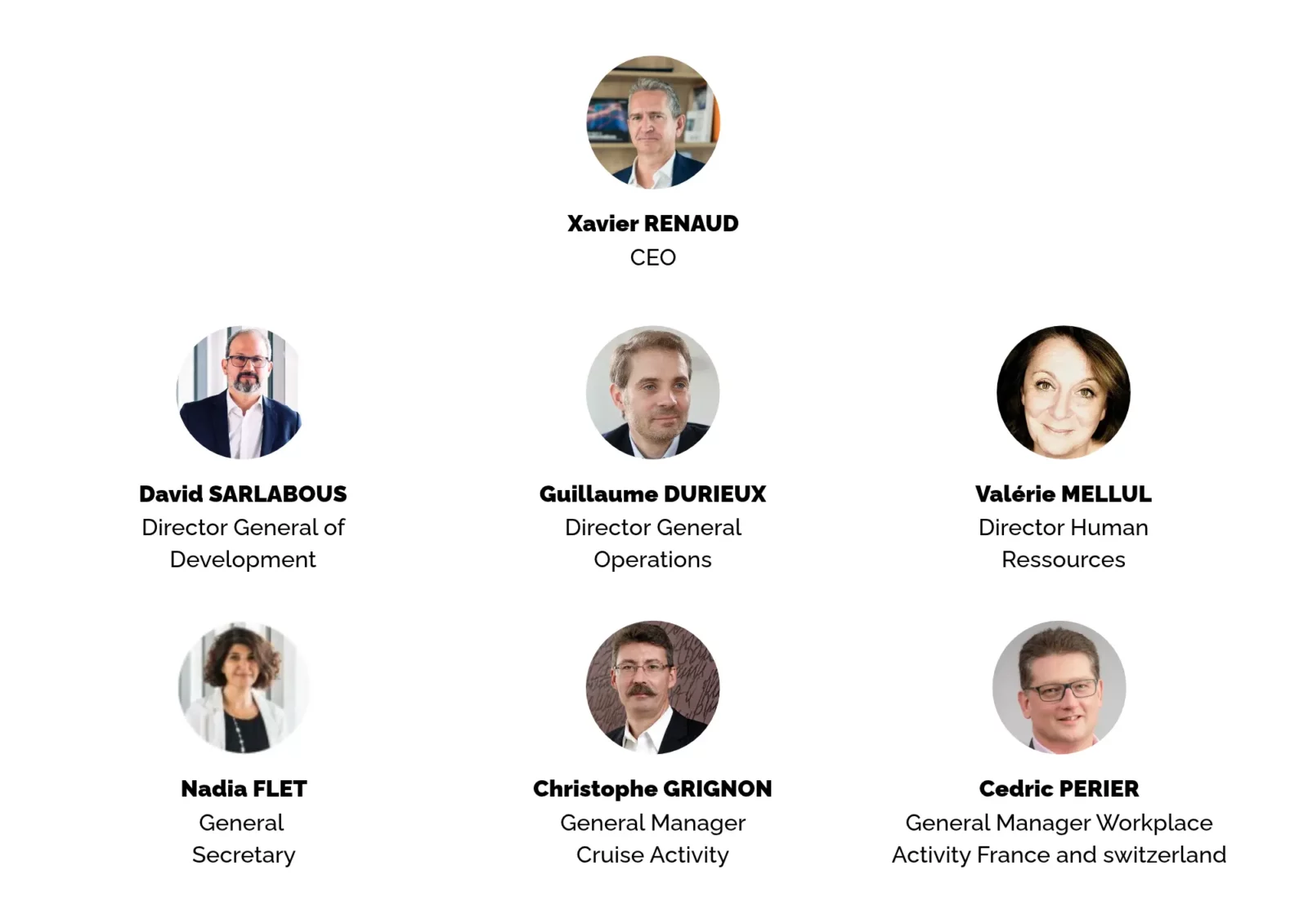 Members Of The Board Videlio Group 2026